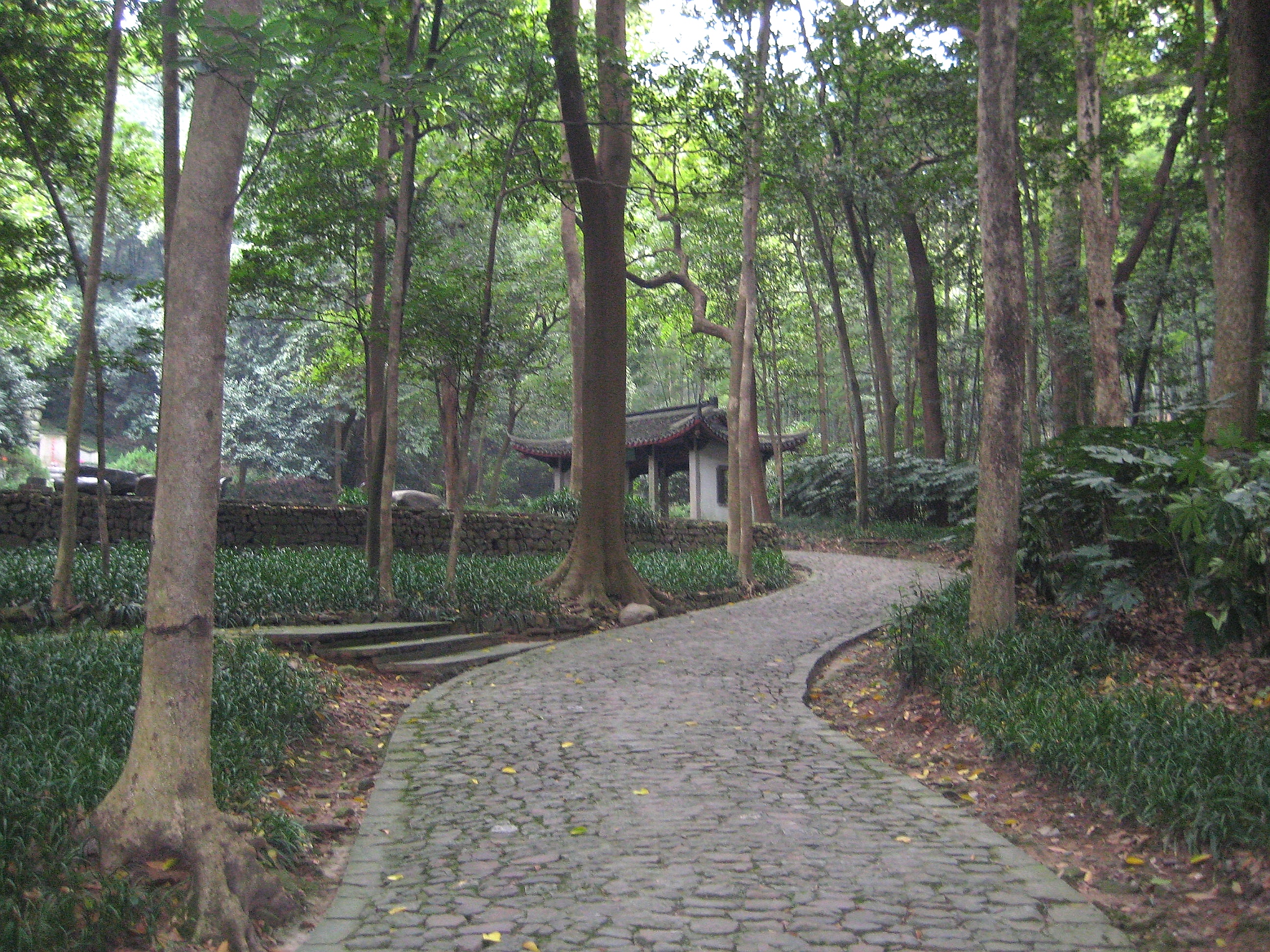 Allée d'un jardin traditionnel chinois